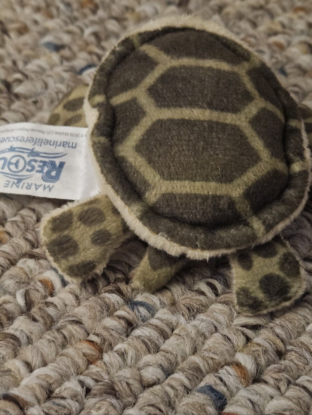 Marine Life Rescue Turtle - Picture 4 of 6